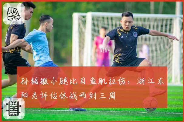 孙铭徽小腿比目鱼肌拉伤，浙江东阳光评估休战两到三周