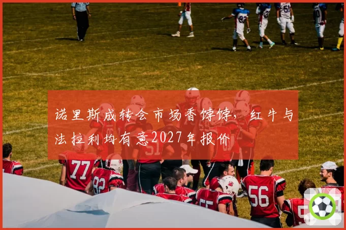 诺里斯成转会市场香饽饽，红牛与法拉利均有意2027年报价