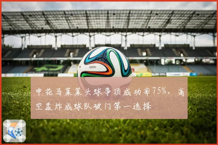 申花马莱莱头球争顶成功率75%,高空轰炸成球队破门第一选择